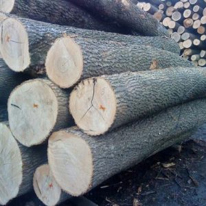 Ash Round Logs